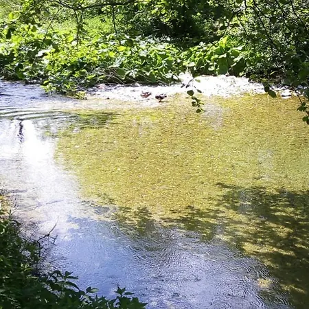 منزل ريفي Via Dinarica *